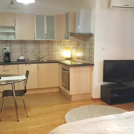 Apartment Cismigiu Apartament