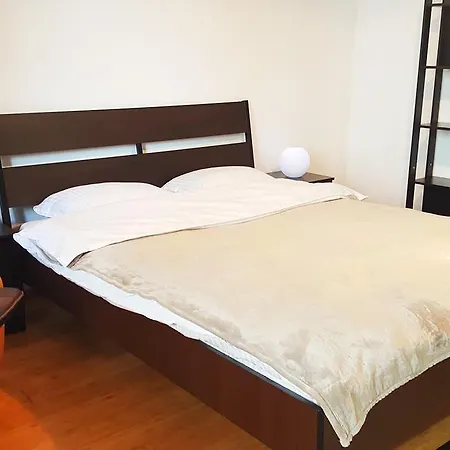 Cismigiu Apartament Apartment *
